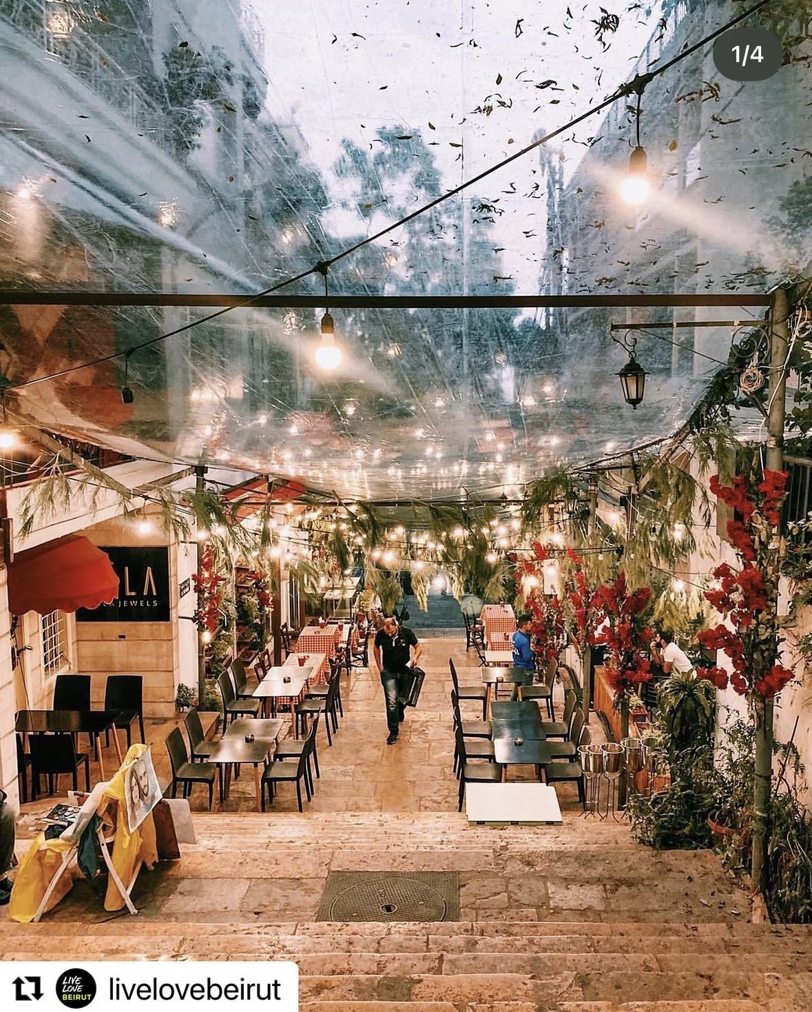 Tables and chairs set down the Saint Nicolas Stairs under a canopy of string lights and red bougainvillea